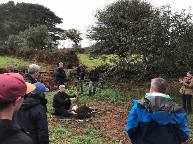 Consultancy and Site Visits 